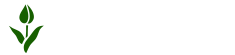 Beejwala