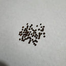 Cabbage Heirloom Savoy Exotic Vegetable Seeds