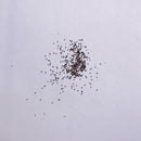 Peppermint Pudina Herb Seeds