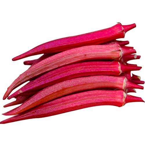 Okra Bhindi Scarlet Red | Exotic Vegetable Seeds