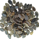 Tinda Round Gourd | Vegetable Seeds
