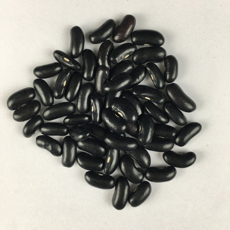 Climbing Beans Violette | Exotic Vegetable Seeds