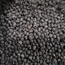 Thungbergia Grand Clock Vine Creeper Mix Color | Flower Seeds