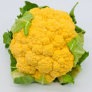 Cauliflower Fool Gobhi Yellow | Vegetable Seeds