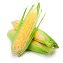 Makka Desi Corn Seeds | Vegetable Seeds