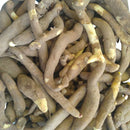 Gloriosa lily Flame Lily Red Color Flower Bulb