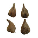 Freesia Yellow Color Flower Bulbs