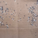 Sweet William Mixed Color Flower Seeds