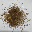 Umbrella Palm Cyperus Alternifolius Plant Seeds