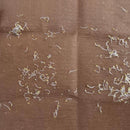 Daisy Mixed Color Flower Seeds