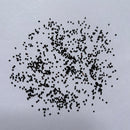 Trichocerous Hybrid Any Color Cactus Seeds