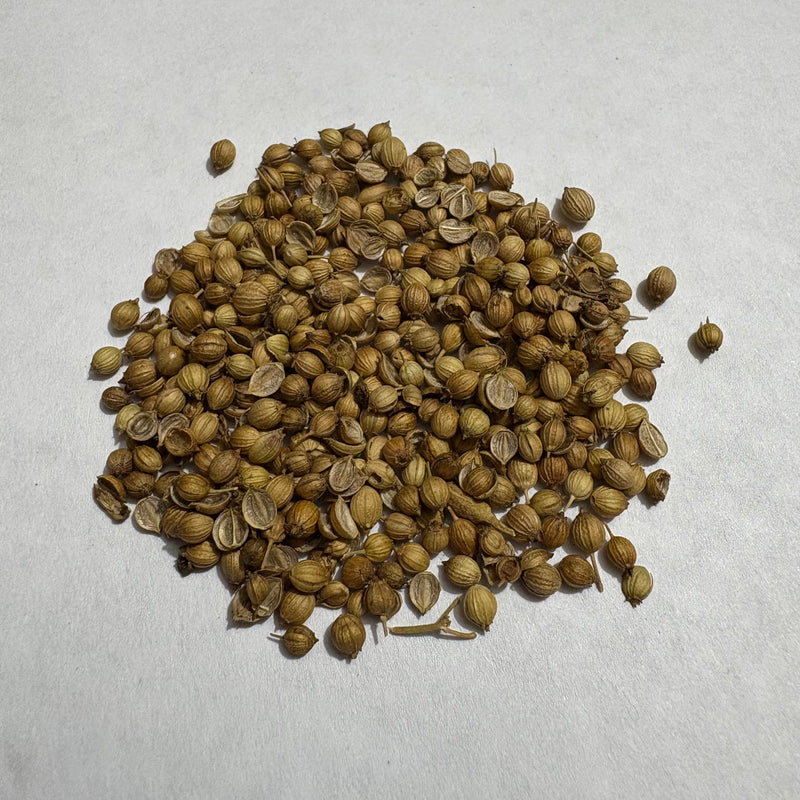 Coriander Desi Dhania Seeds | Herb Seeds