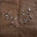 Cypress Vine Creeper Plant Any Color Flower Seeds