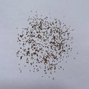 Gymnocalycium Variegated Cactus Seeds