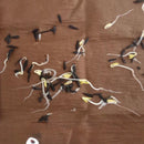 Dahlia Mixed Color Flower Seeds