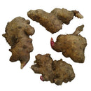 Hedychium Butterfly Ginger Lily White Color Flower Bulb