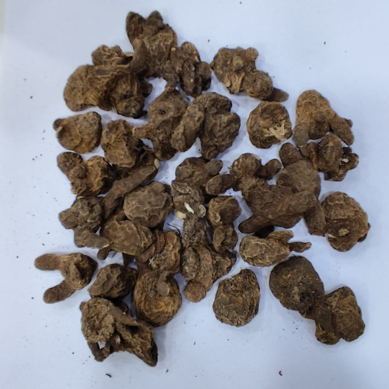 Anemone Lord Lieutenant Flower Bulb