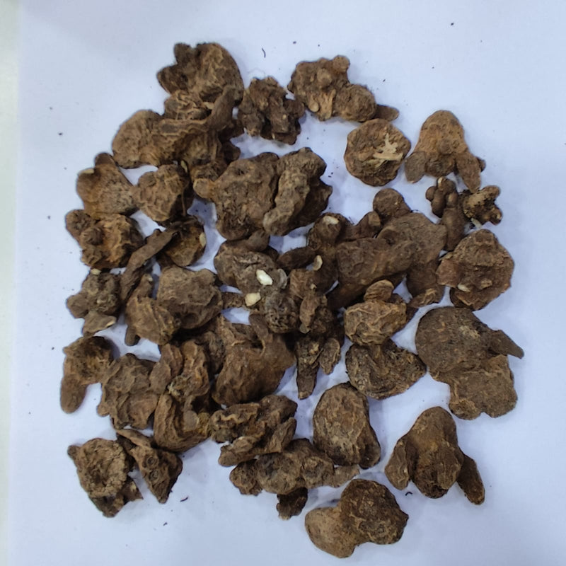 Anemone Admiral Flower Bulb