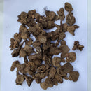 Anemone Mount Everest Flower Bulb