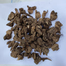 Anemone Imported Any Color Flower Bulb