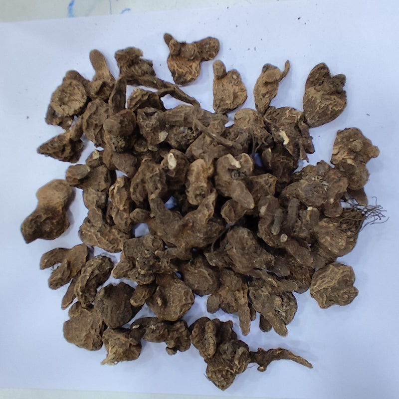 Anemone Imported Any Color Flower Bulb