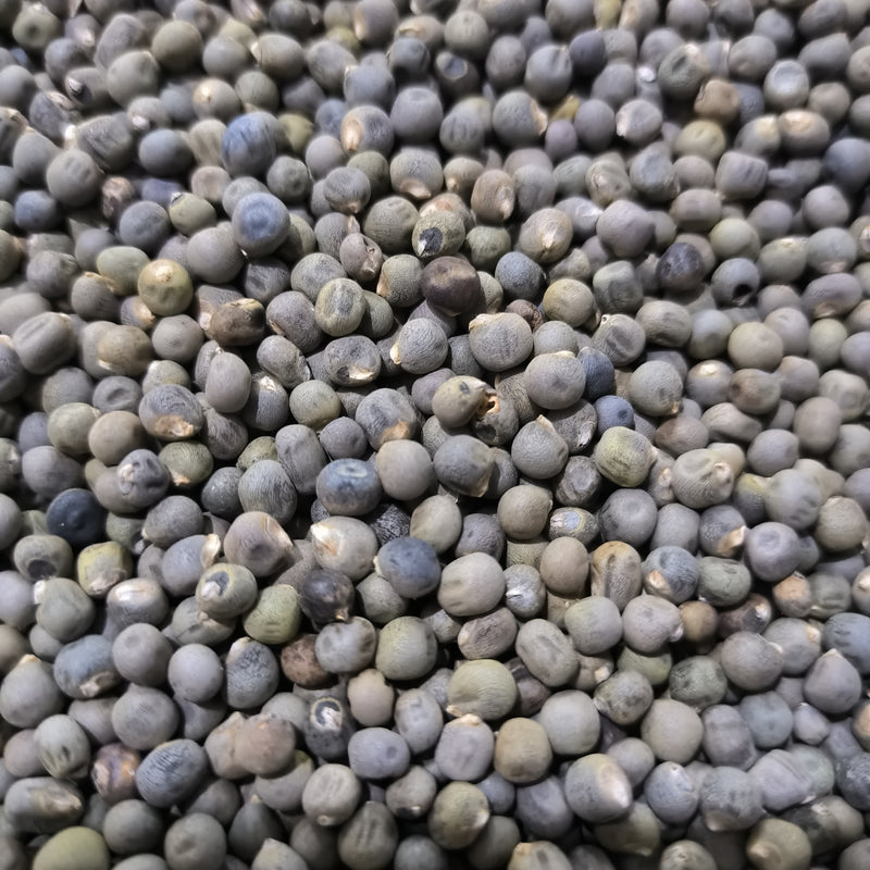Bhindi Okra Lady Finger | Vegetable Seeds