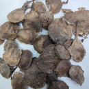 Red Sandalwood Lal Chandan Seeds