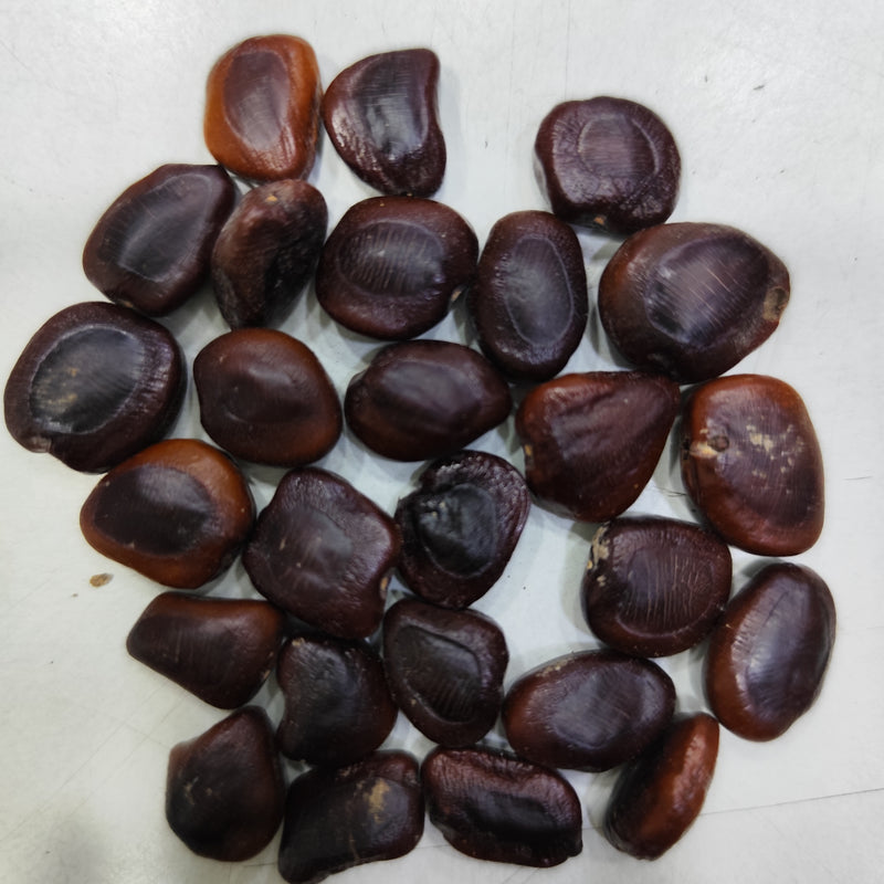 Imli Tamarind Fruit Plant Seeds | Fruit Plant Seeds