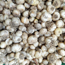 Ornithogalum Chincherinchee Any Color Flower Bulbs
