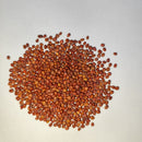 Radish Mooli F1 Long White | Vegetable Seeds