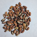 Dolichos Dwarf Imperial | Vegetable seeds