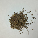 Perilla Shiso Green | Herb Seeds