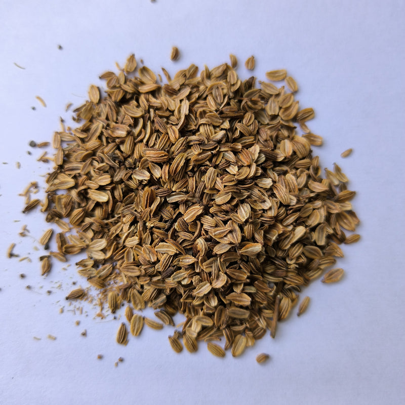 lovage plant seeds Lovage Herb Seeds