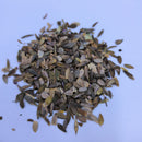 Zinnia Lilliput Mix Color | Flower Seeds