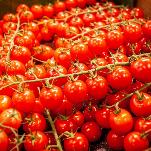 Cherry Tomato Vegetable Seeds
