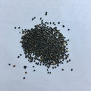 Savory Summer Herb Seeds