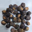 Reetha Ritha Soapnuts Plant Seeds