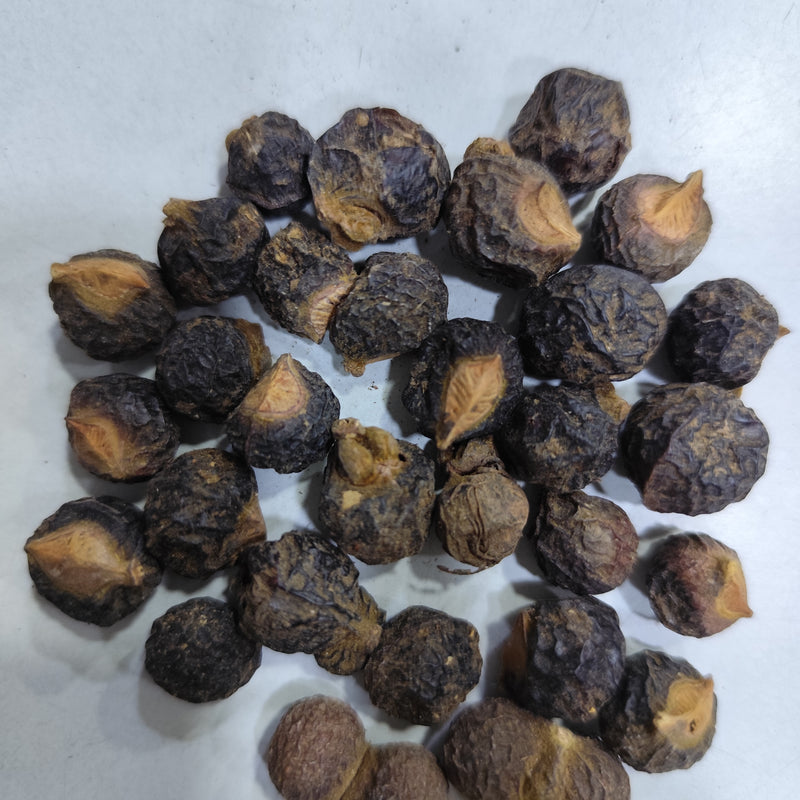 Reetha Ritha Soapnuts Plant Seeds