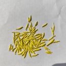 Gerbera F1 Seeds Any Color | Flower Seeds