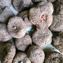 Amorphophallus Bulbifer Flower Bulb