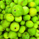 Tinda Round Gourd | Vegetable Seeds