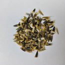 Tithonia Torch Red Color Flower Seeds