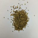 Burning Bush Kochia Seeds