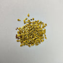 Gomphrena Haageana Strawberry Flower Seeds