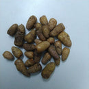 Achimenes Any Color Flower Bulb