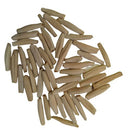 Adenium Pink with White Color | Flower Seeds