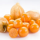 Alkekengi Cape Gooseberry Fruit Seeds