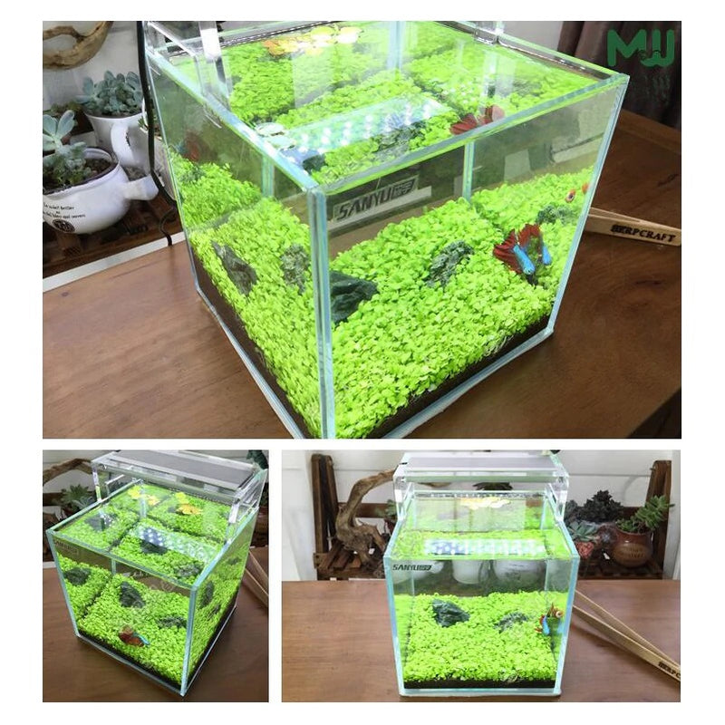 aquarium live plants seeds Small Leaf Aquarium Plant Seeds