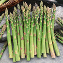 Asparagus Mary Exotic Vegetable Seeds