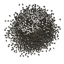 Basil Herb Plant Seeds